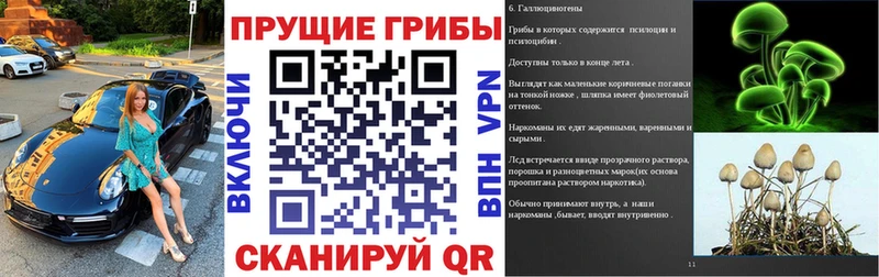 Псилоцибиновые грибы ЛСД Малмыж